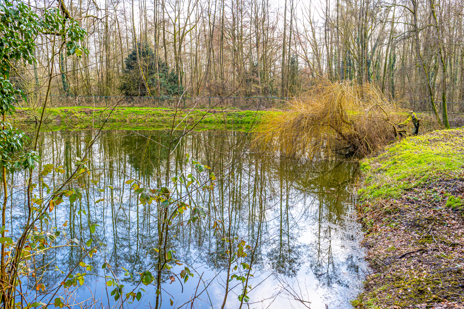 An image depicting the trail Danikerberg, Sint Jansmole, Spaubeekerbos, Stammenderbos and Heemtuin Loop and its surrounding area.
