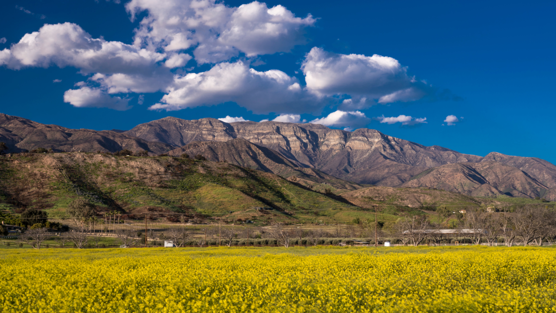 An image depicting the trail Lion Canyon Trail and its surrounding area.
