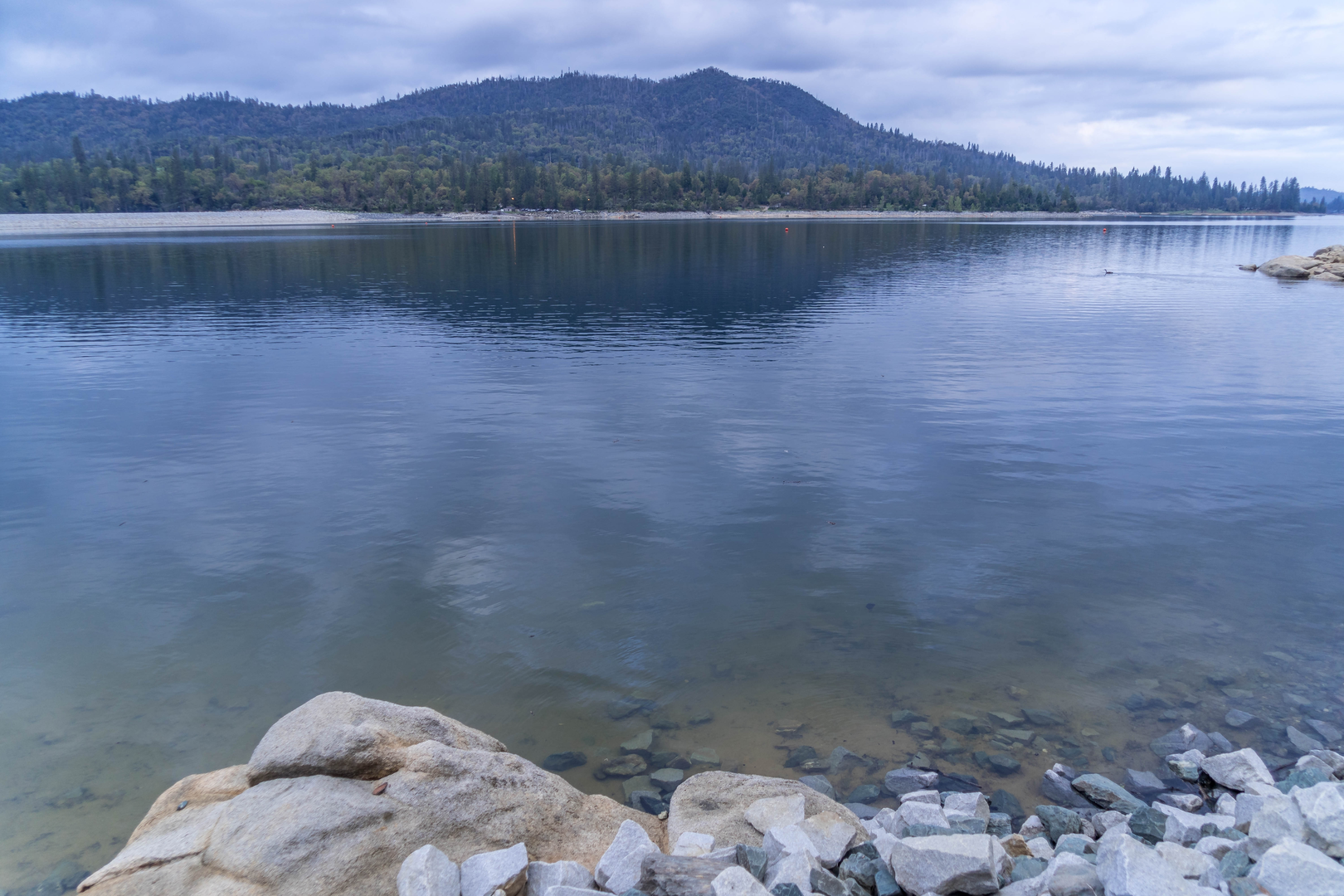 An image depicting the trail Cedar Bluff Road and its surrounding area.
