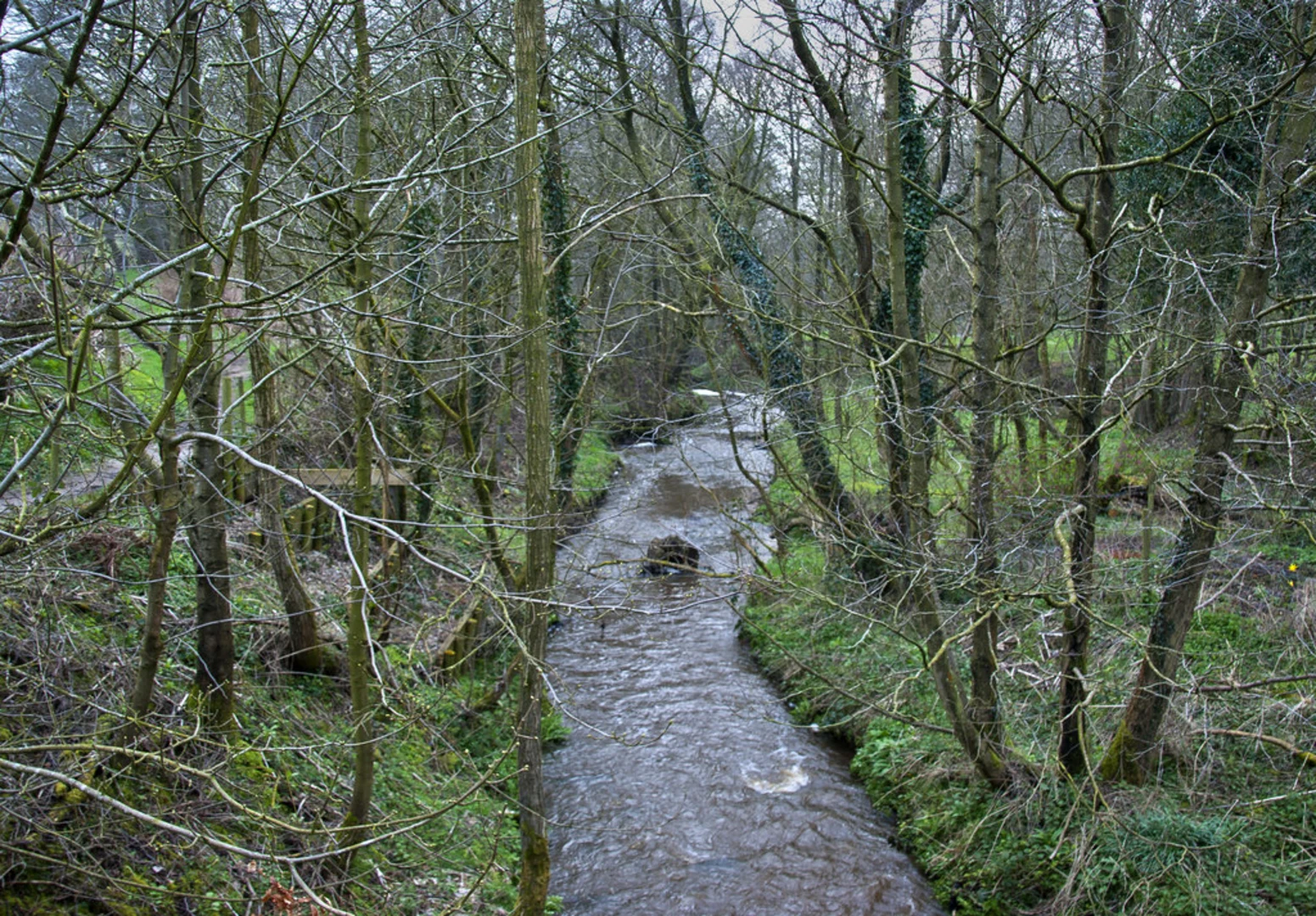 An image depicting the trail Fulwood Park Wood Loop and its surrounding area.