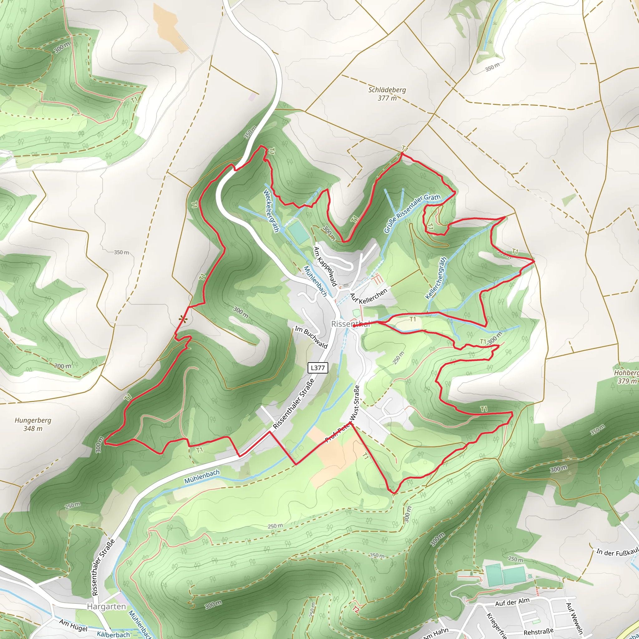 Schluchtenpfad Loop mobile static map