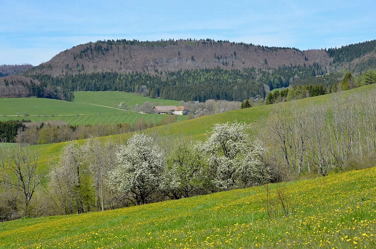 Greuthau via Schafbergweg