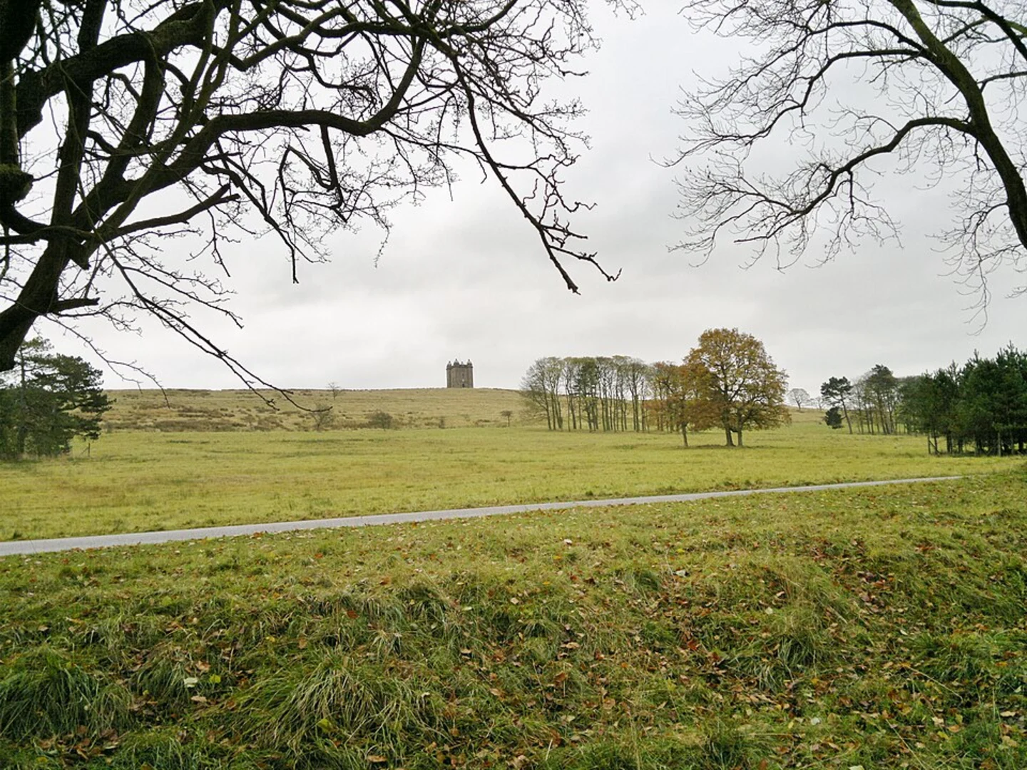 An image depicting the trail Knightslow Wood and Lyme Park and its surrounding area.
