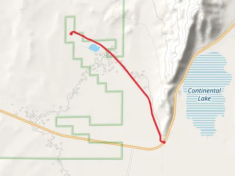 Bog Hot Creek - Denio-Adel Road