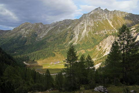 An image depicting the trail Ursprungalm Loop Walk and its surrounding area.