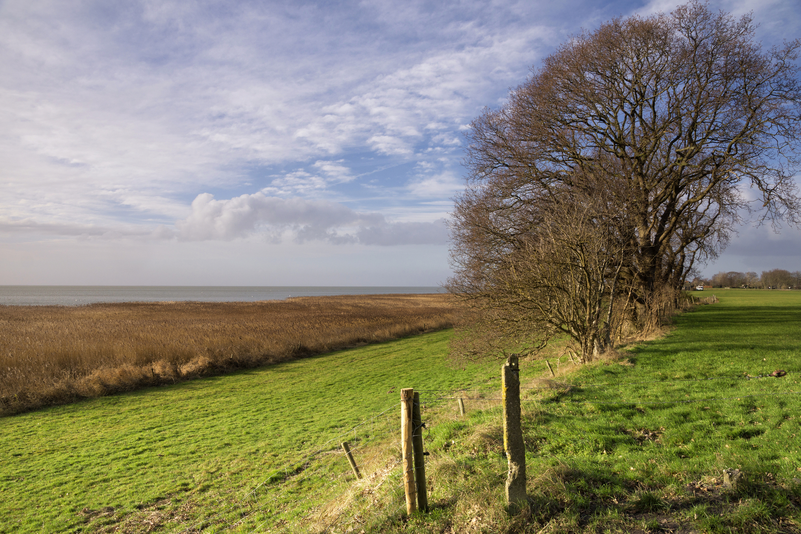 An image depicting the trail Rysterbosk and Zuiderfennenspolder Loop and its surrounding area.