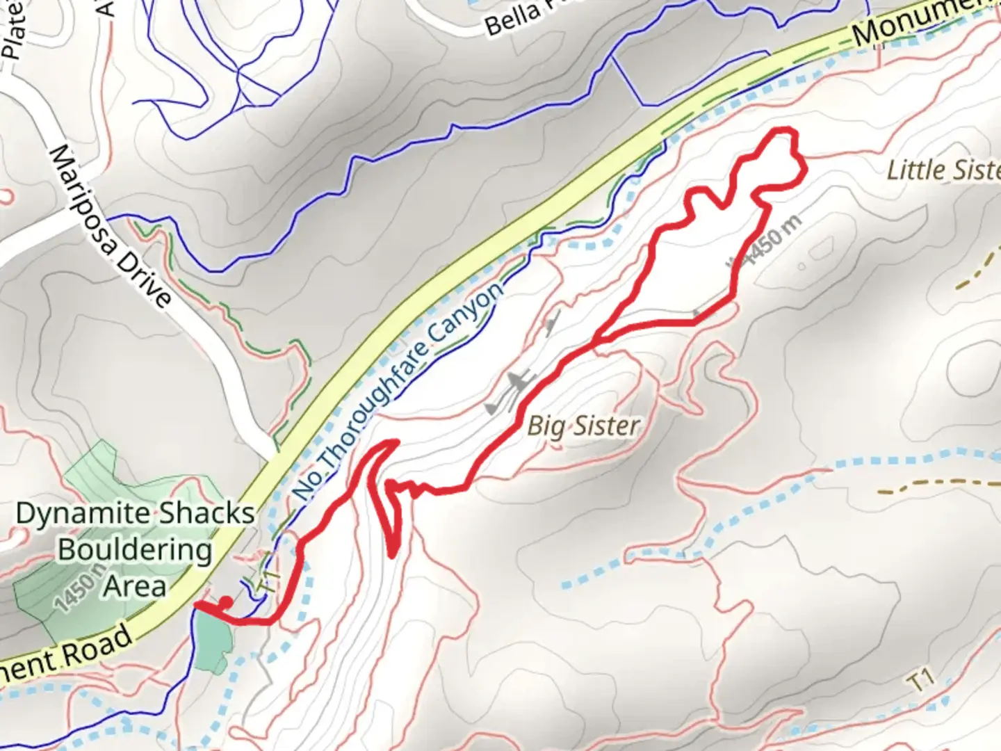An image depicting the trail Curt's Lane and Yes N Dee Dee Loop Trail and its surrounding area.