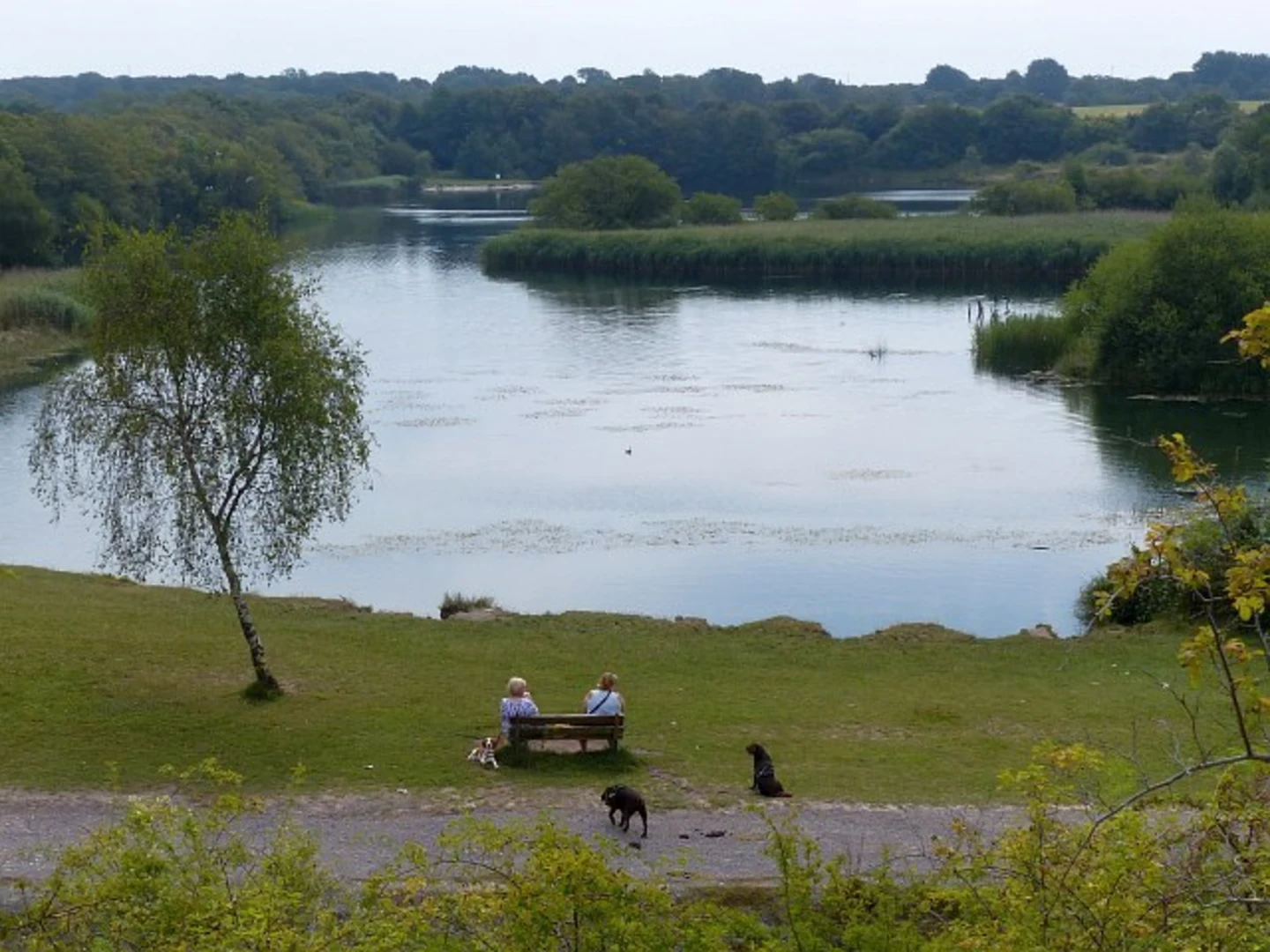 An image depicting the trail Cosmeston Lakes Country Park Loop and its surrounding area.