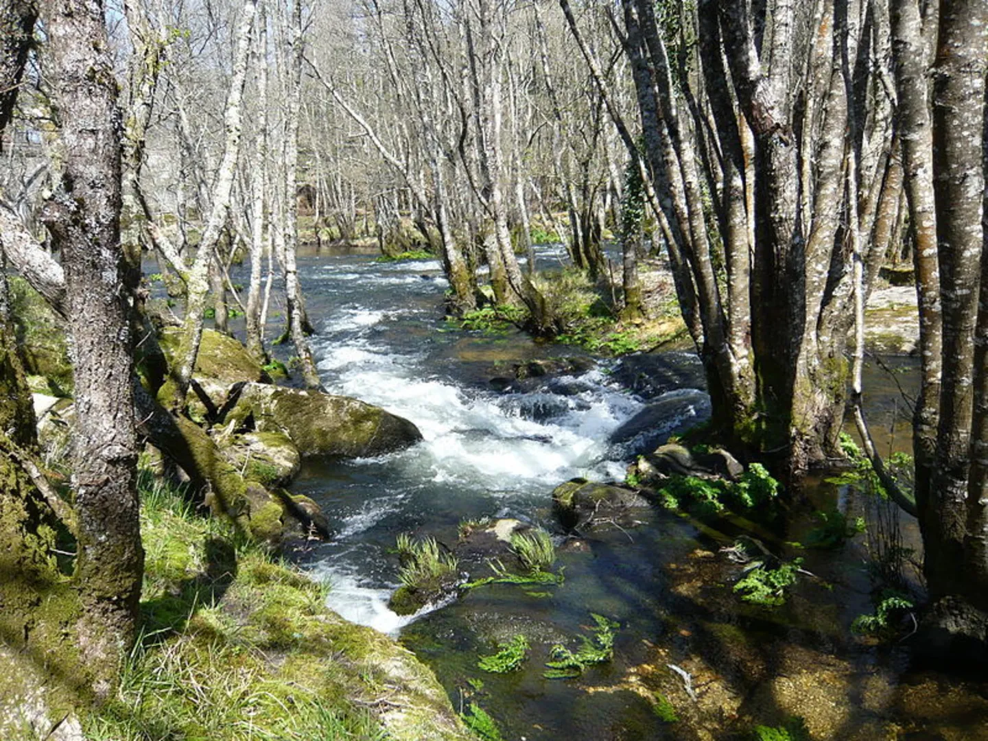 An image depicting the trail Guitiriz Water Route PR G 99 and its surrounding area.