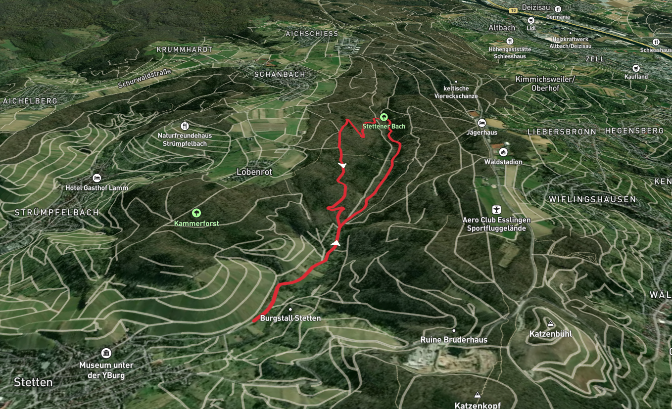 Stettener Bachweg and Saurainsträssle Loop