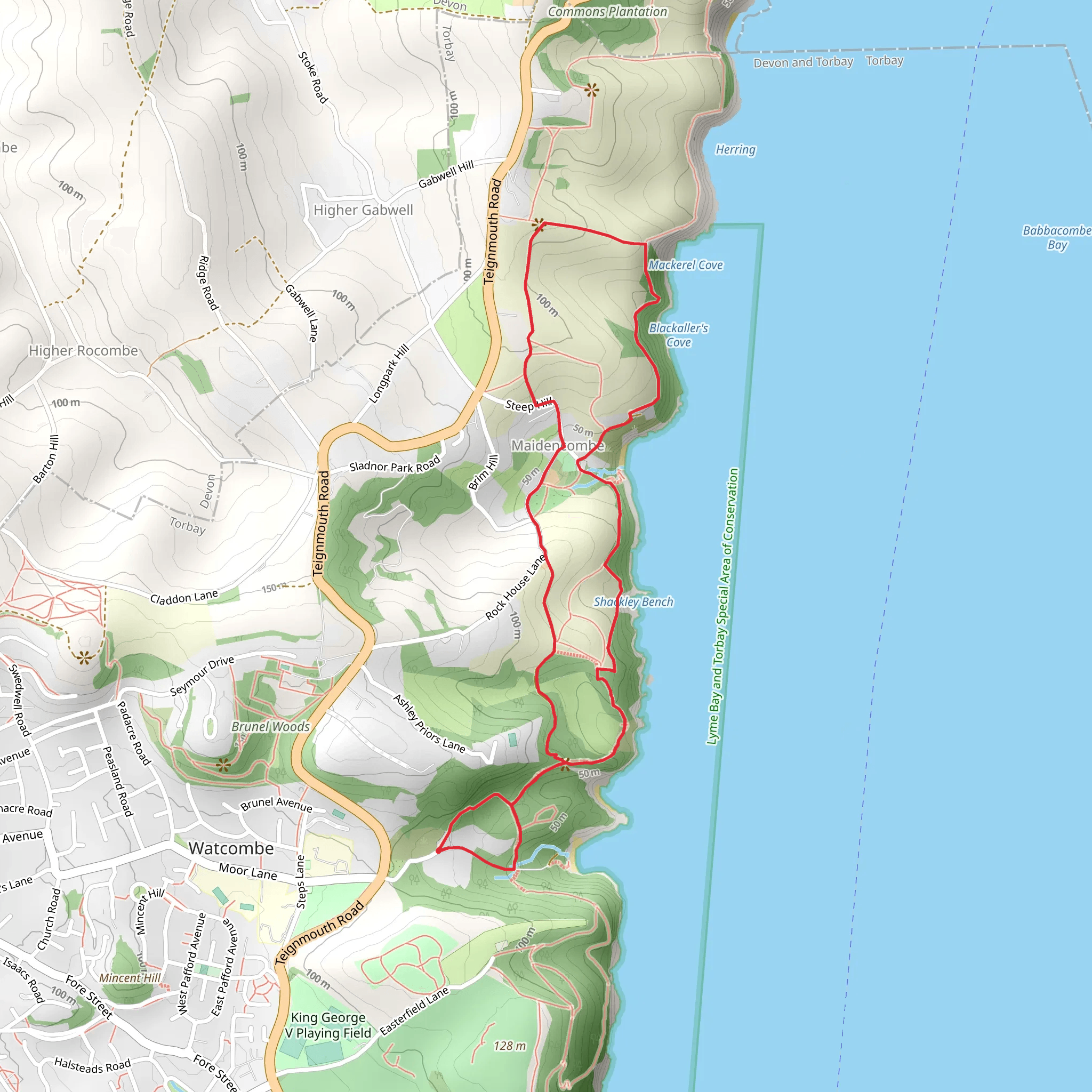 Maidencombe Circular Walk mobile static map