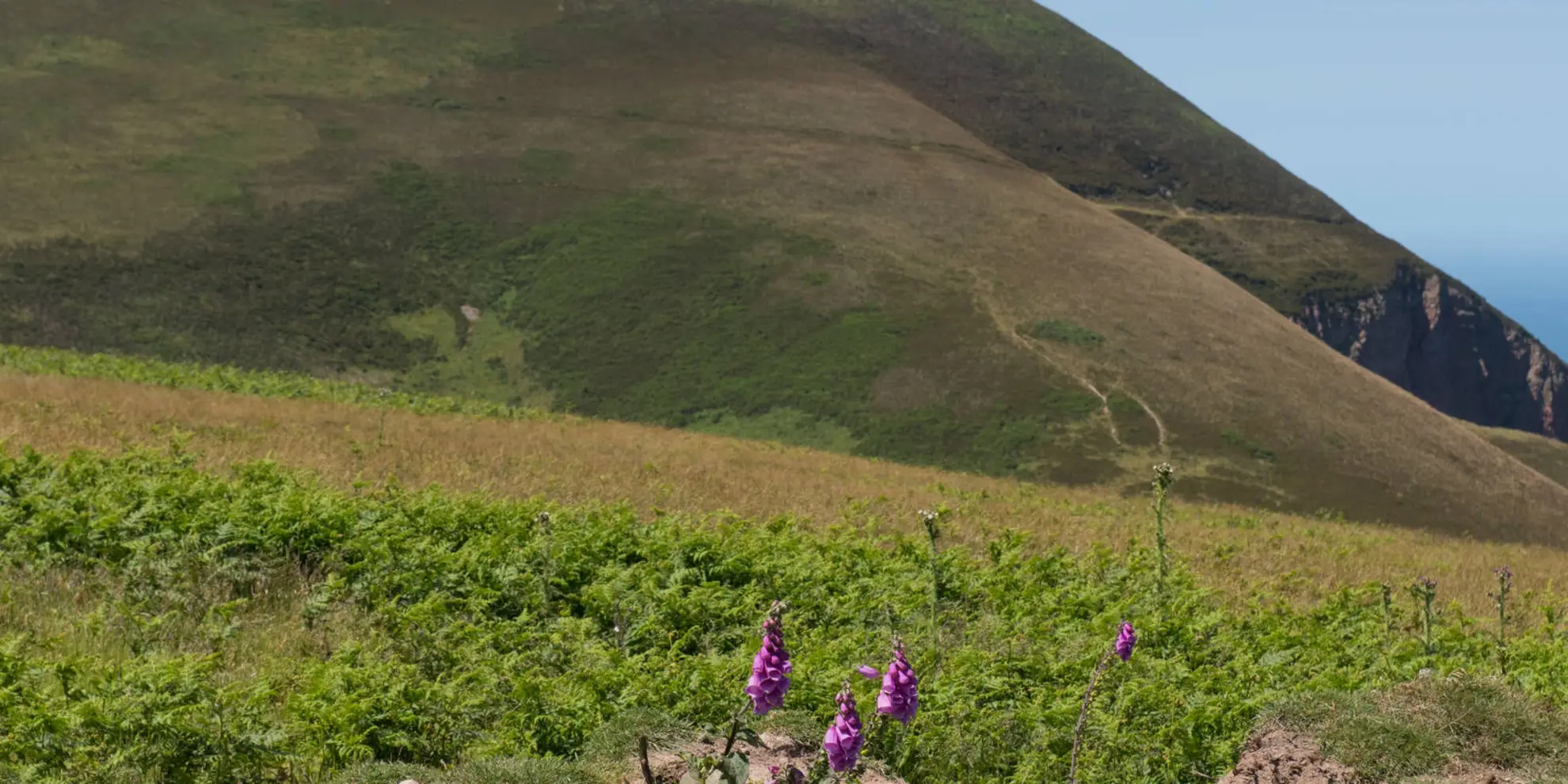 An image depicting the trail Great Hangman Hill from Combe Martin and its surrounding area.