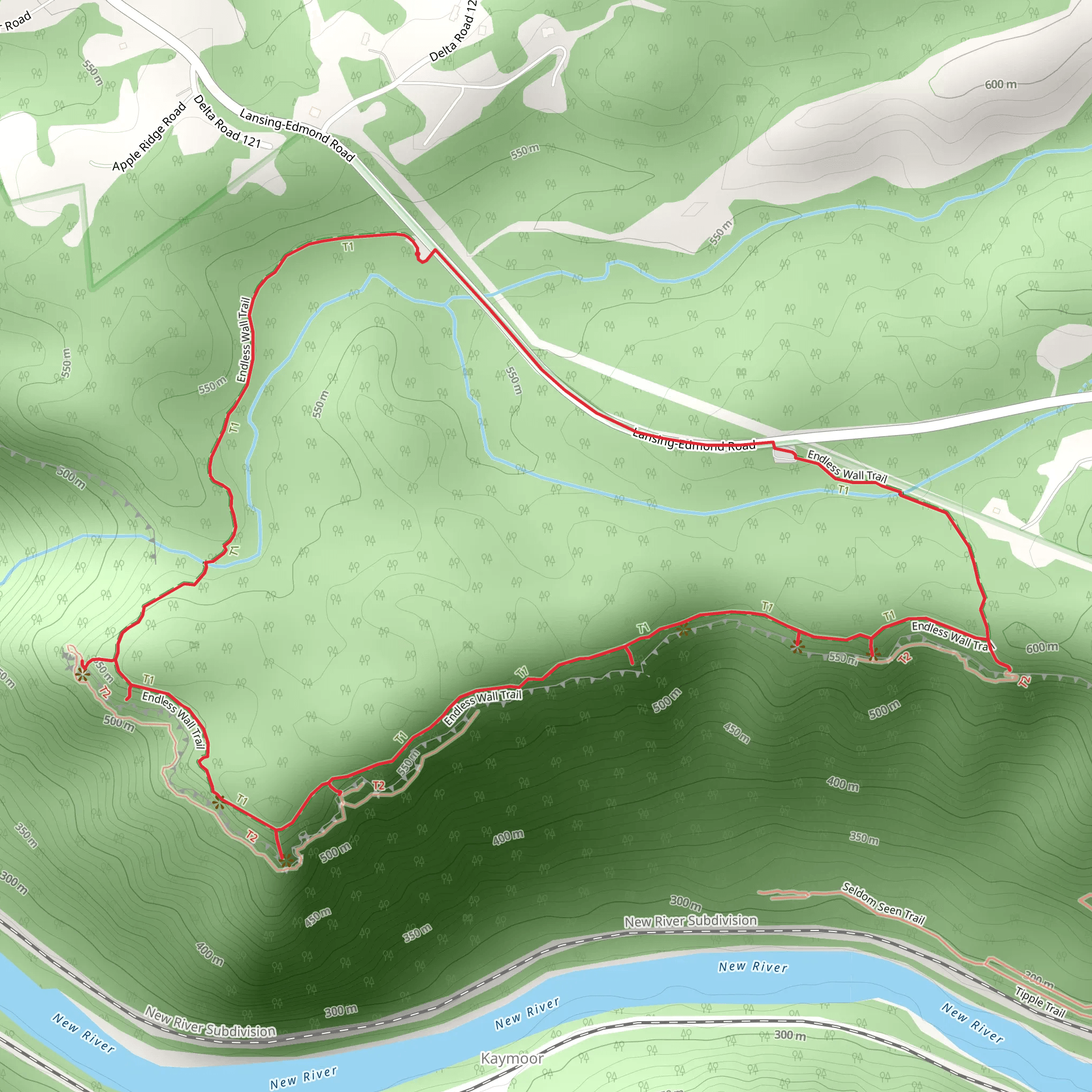 Endless Wall Loop mobile static map