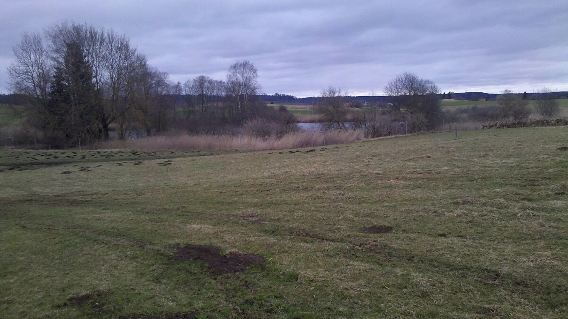 An image depicting the trail Egelsee Loop and its surrounding area.