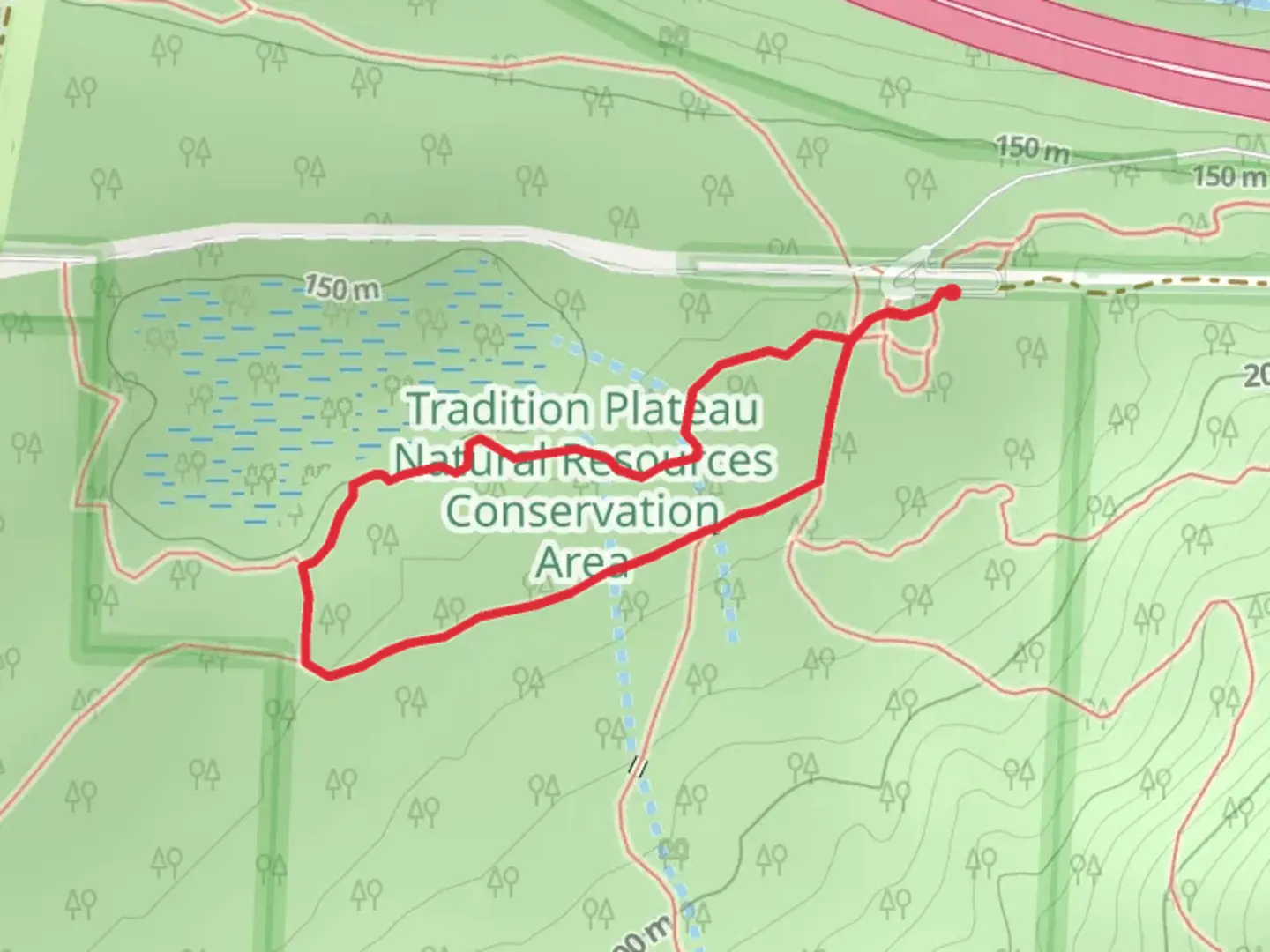 An image depicting the trail Around the Lake Short Loop Trail and its surrounding area.