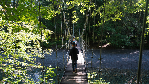 Grove of the Patriarchs Trail