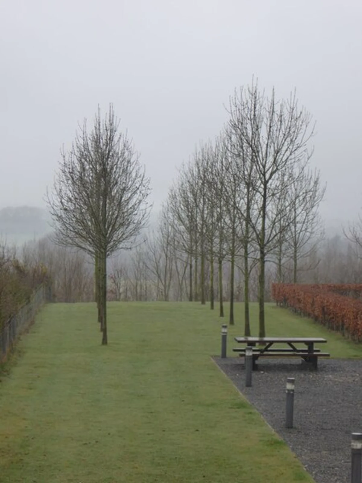 Lancaster University Woodland Loop Walk