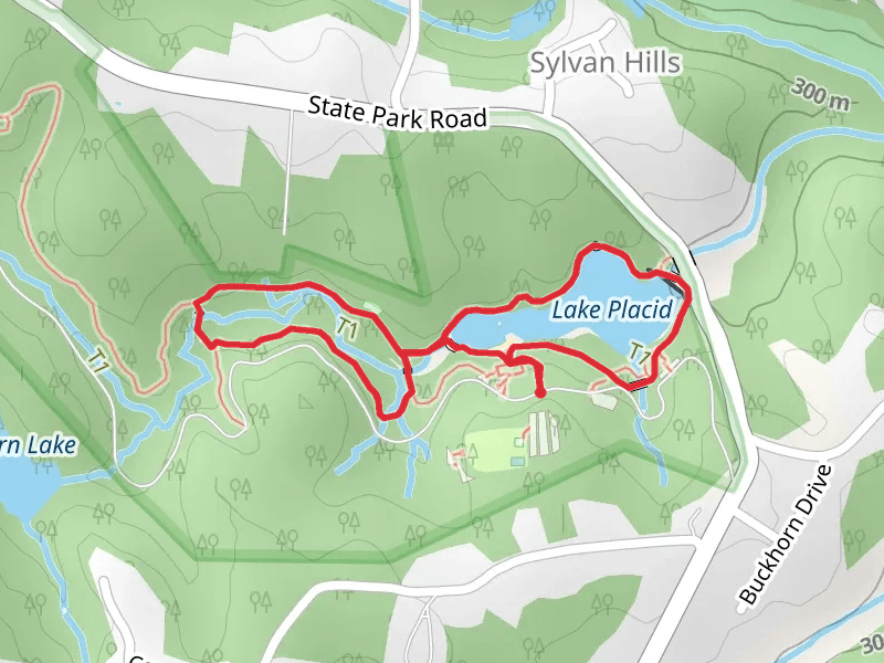 Lake Placid and Turtle Loop Trail