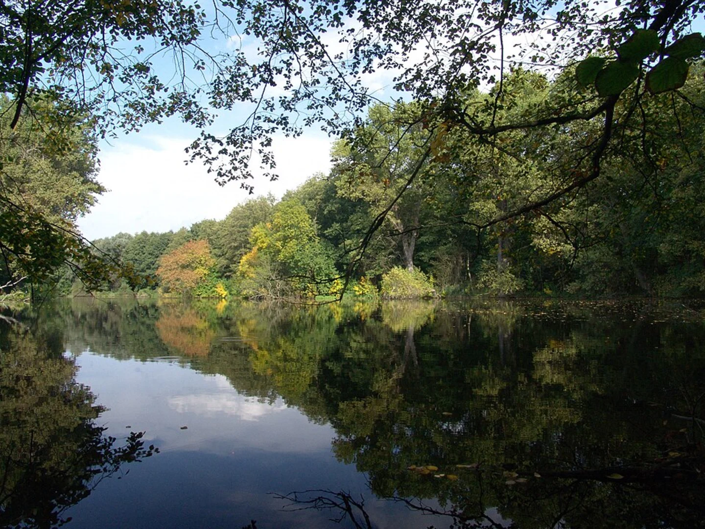 An image depicting the trail Karpfenteich and Treptower Spree via Spreeweg and its surrounding area.