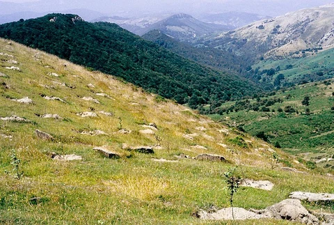 Txindoki Trail PR GI 2005