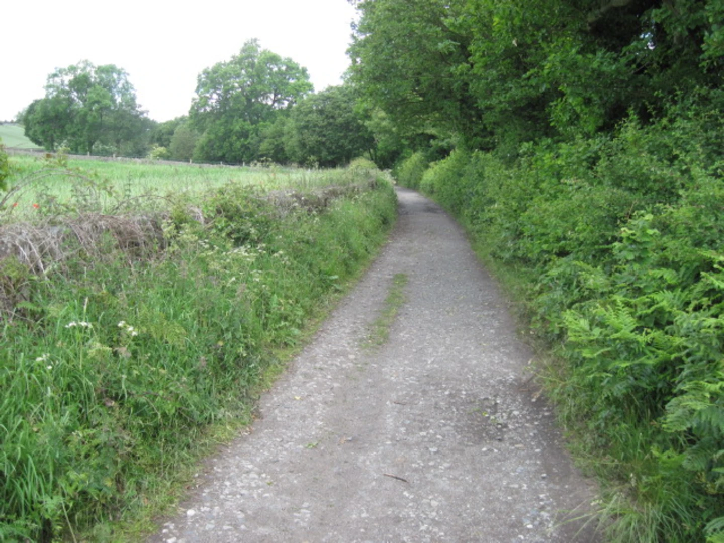 An image depicting the trail Skelmanthorpe Circular Trail and its surrounding area.
