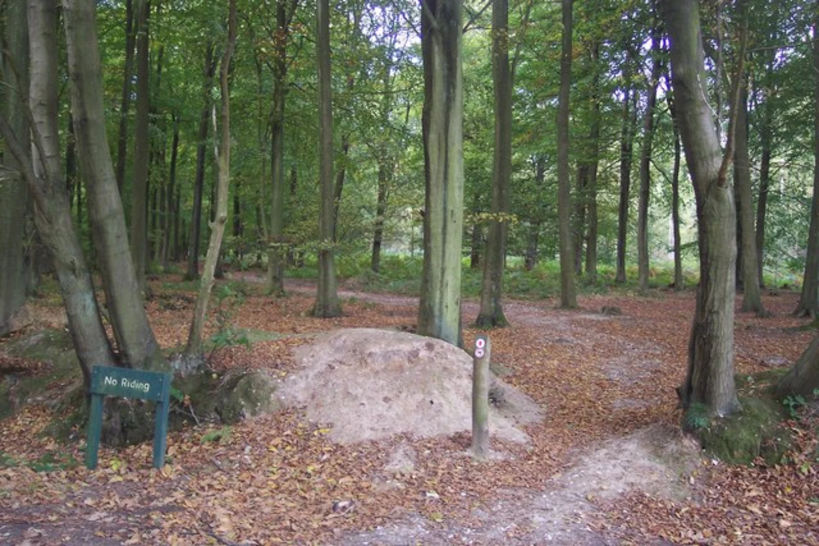 An image depicting the trail Ribchester to Grimsargh Loop and its surrounding area.