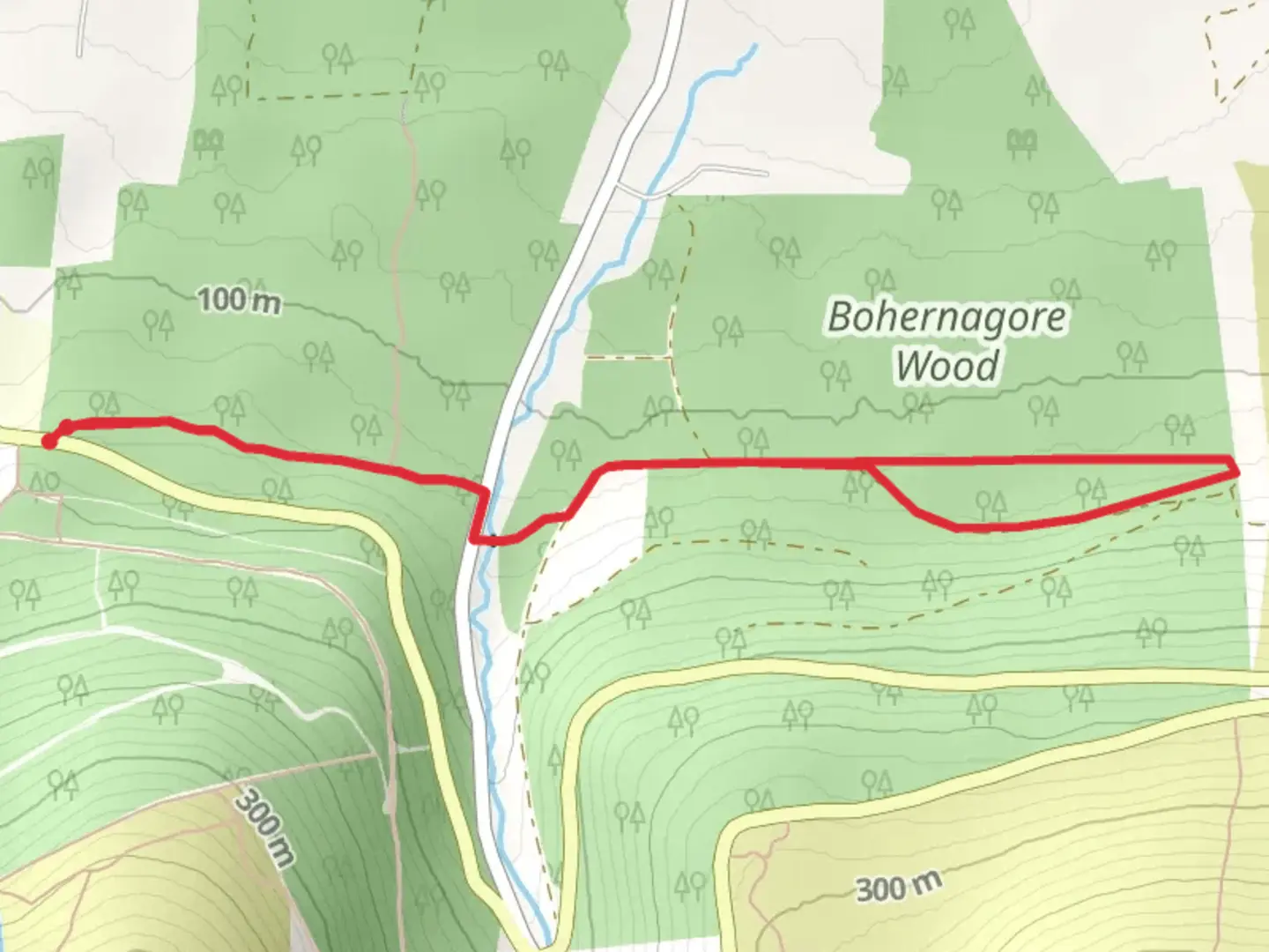 An image depicting the trail Kilballyboy Wood Walk and its surrounding area.