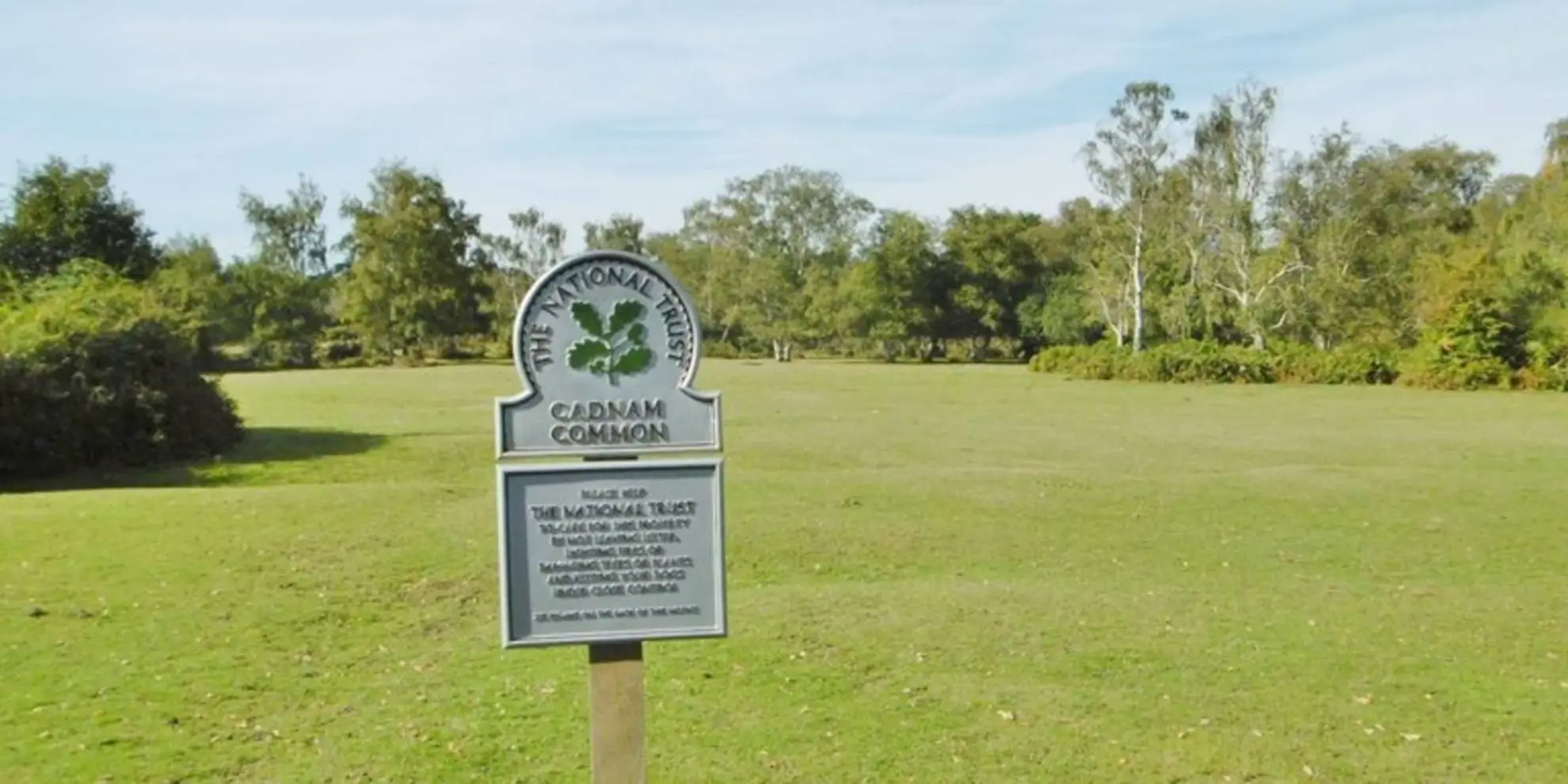 An image depicting the trail Copythorne and Cadnam Common Walk and its surrounding area.