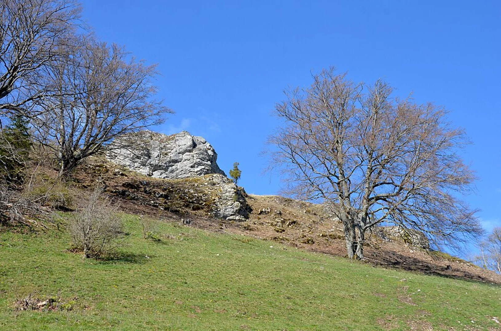 An image depicting the trail Greuthau via Schafbergweg and its surrounding area.
