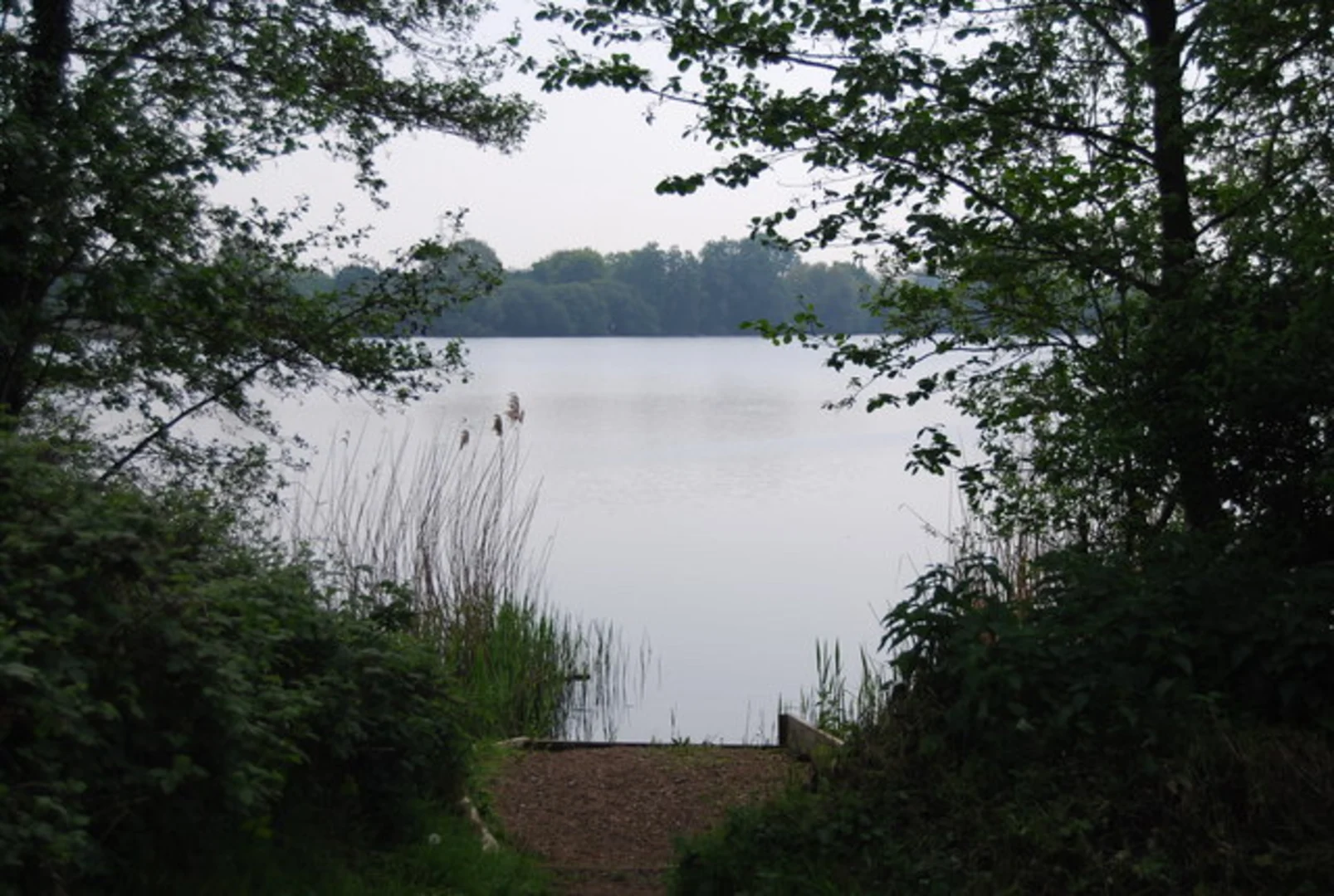 An image depicting the trail Brooklands Lakes and Central Park Loop and its surrounding area.