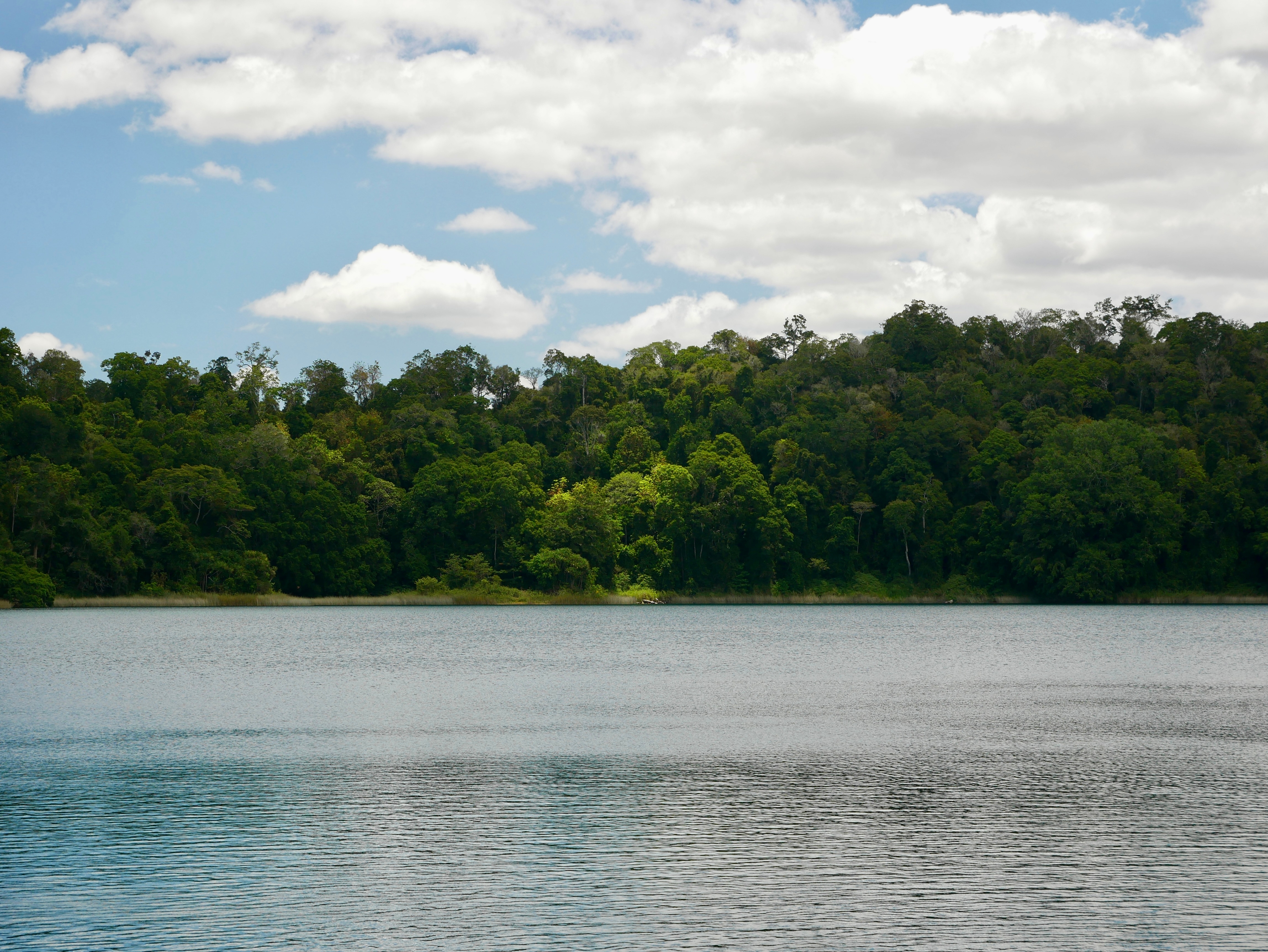 An image depicting the trail Crater Lakes National Park and its surrounding area.