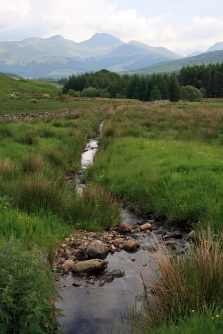 An image depicting the trail Kirkton and Auchtertyre Loop and its surrounding area.