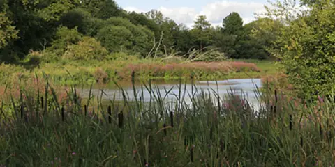 An image depicting the trail River Itchen Circular Walk - 1 and its surrounding area.