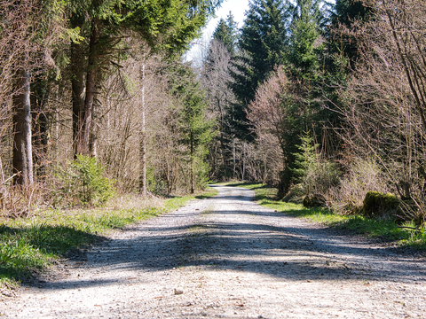Radioweg Beromünster