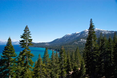 An image depicting the trail Eagle Meadows Trail via Stony Ridge Lake and Tahoe Yosemite Trail and its surrounding area.