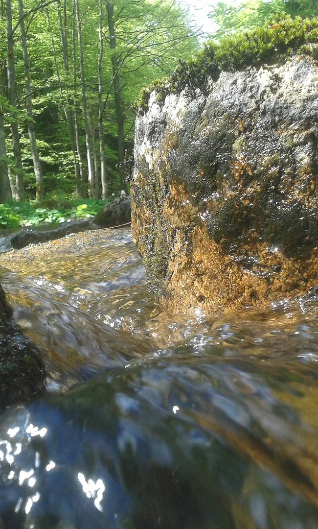An image depicting the trail Barenberg, Schnarcherklippen and Ruine Eldendsburg Loop and its surrounding area.