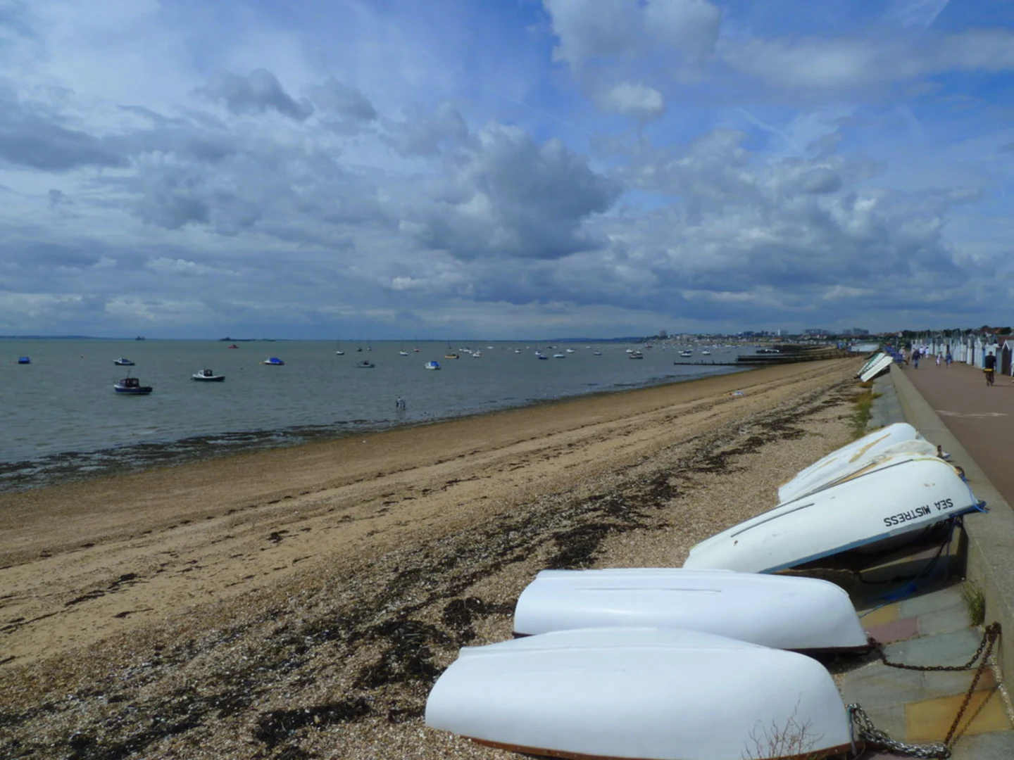 An image depicting the trail Shoebury Common Beach Loop and its surrounding area.