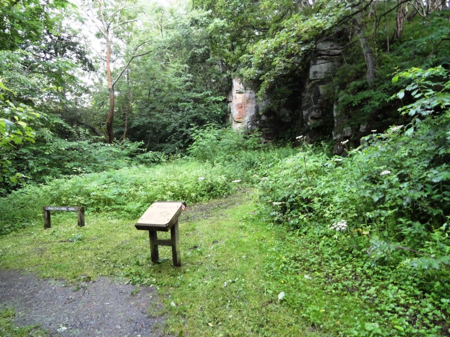 An image depicting the trail Causey Loop and its surrounding area.