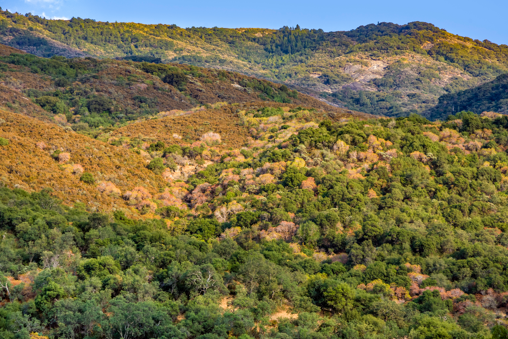 An image depicting the trail Deadman Canyon Loop and its surrounding area.