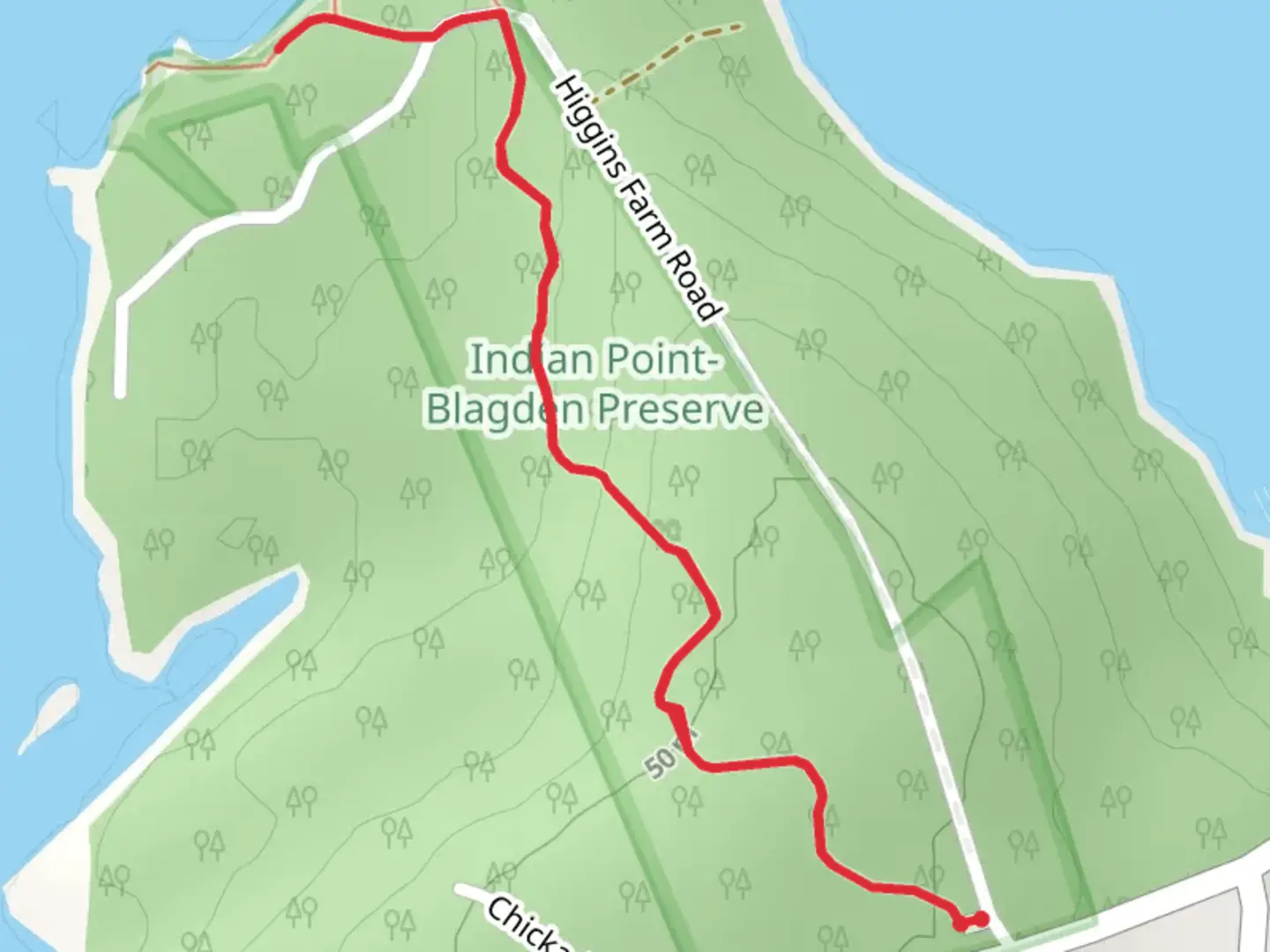 An image depicting the trail Union River View Trail and its surrounding area.