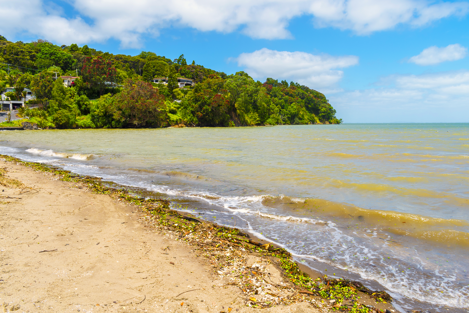 An image depicting the trail Titirangi Beach via Zig Zag Trail and its surrounding area.