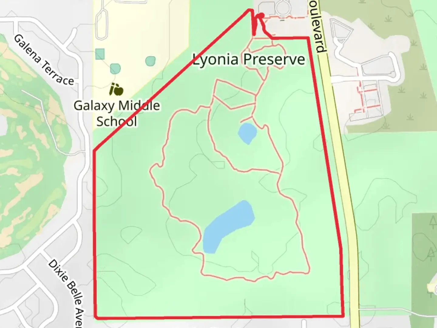 An image depicting the trail Lyonia - Boundary Loop Trail - Lyonia Preserve and its surrounding area.