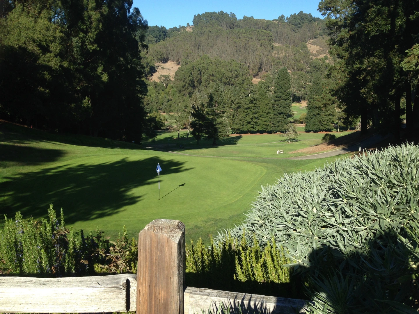 An image depicting the trail Vollmer and Lupine Loop Trail and its surrounding area.