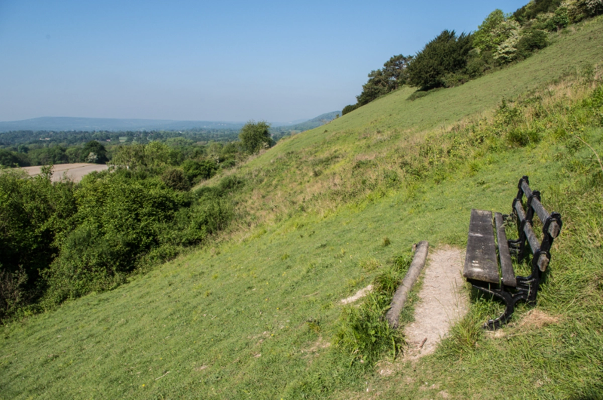 Reigate Circular Walk
