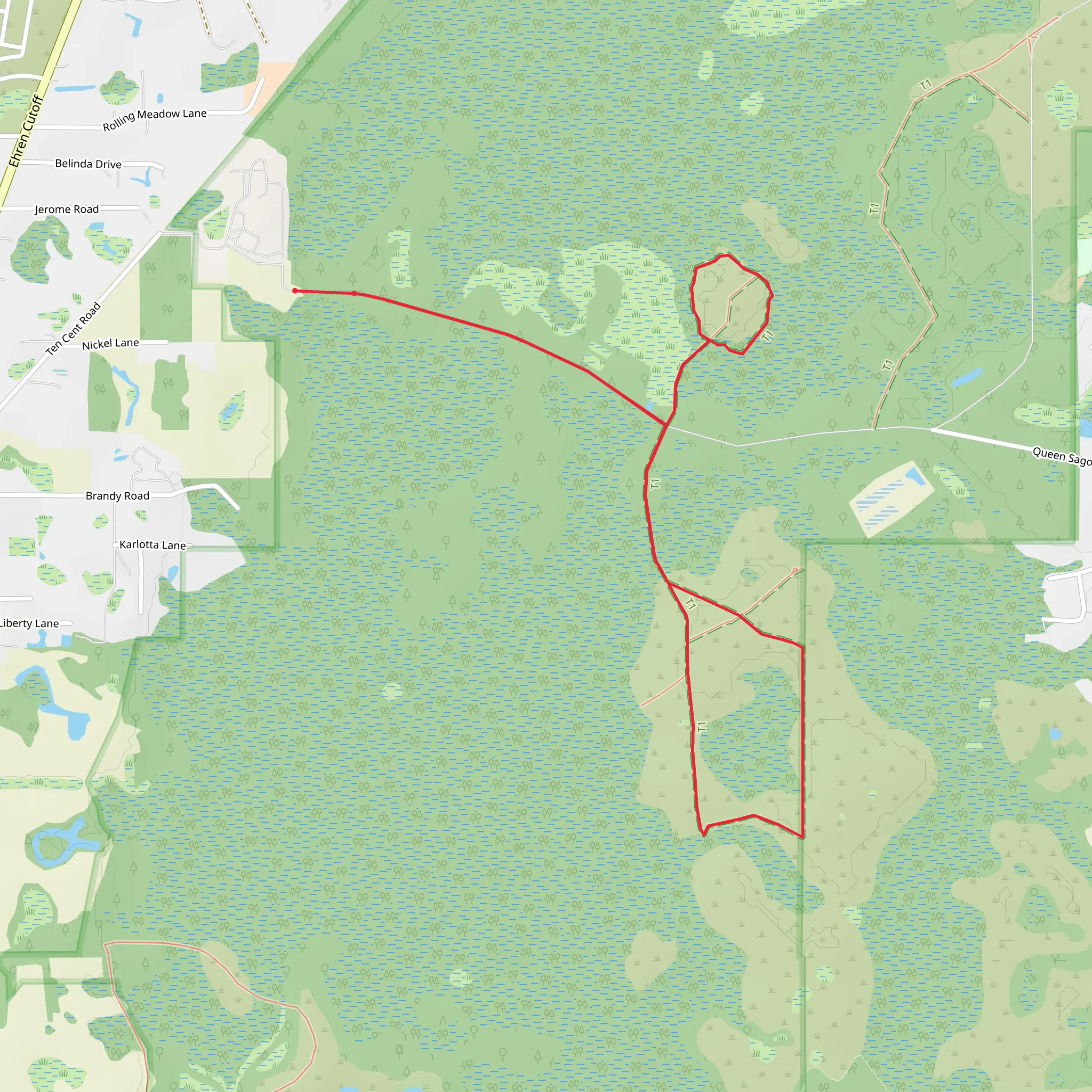 Big Cypress Swamp Loop mobile static map