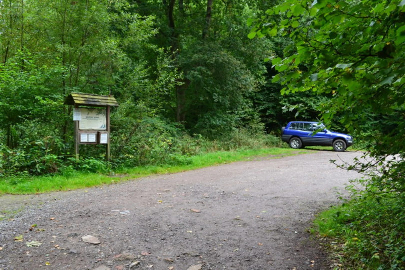 An image depicting the trail Bentley Wood Loop and its surrounding area.