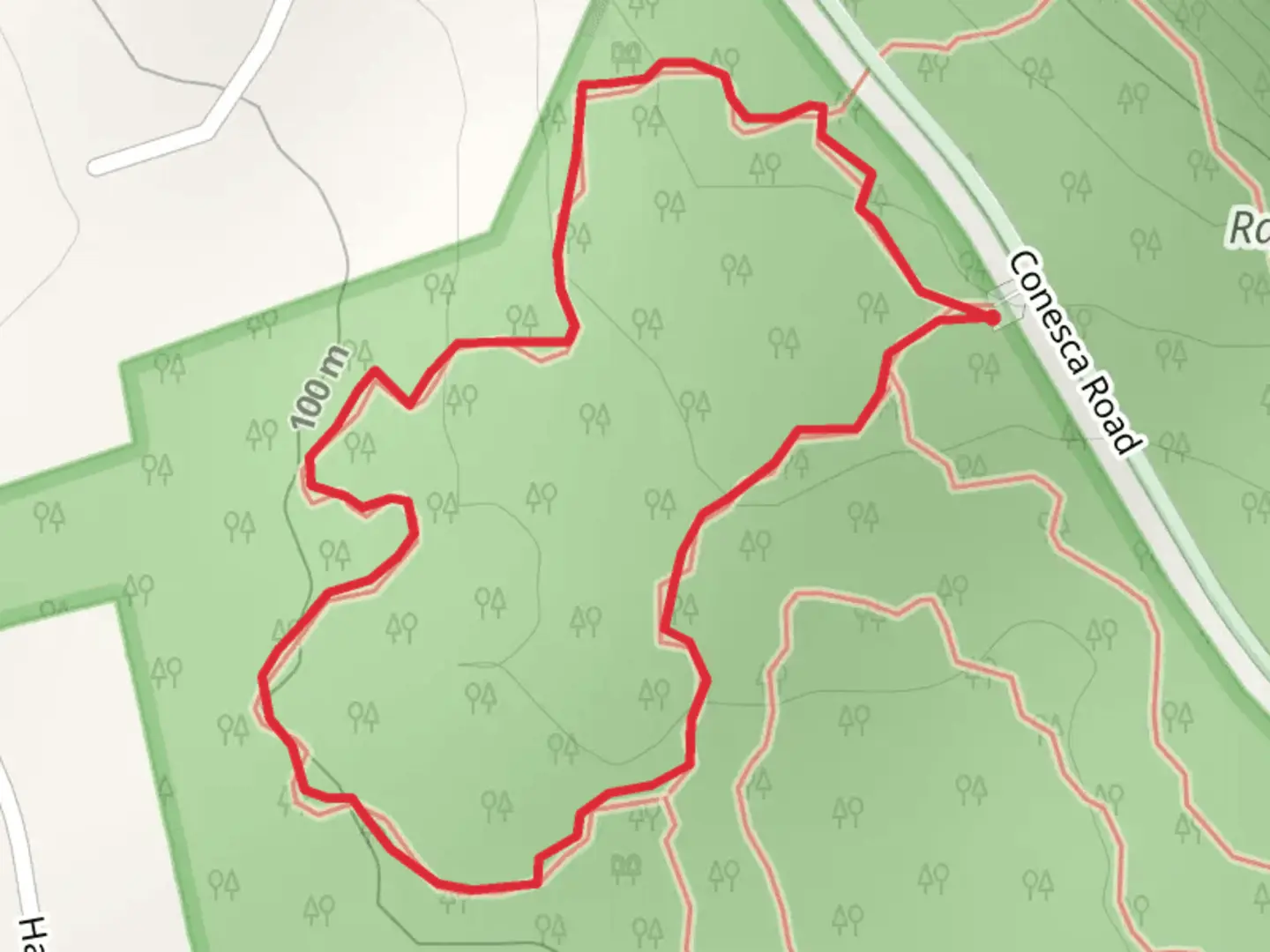 An image depicting the trail Conesca Road- West Loop and its surrounding area.