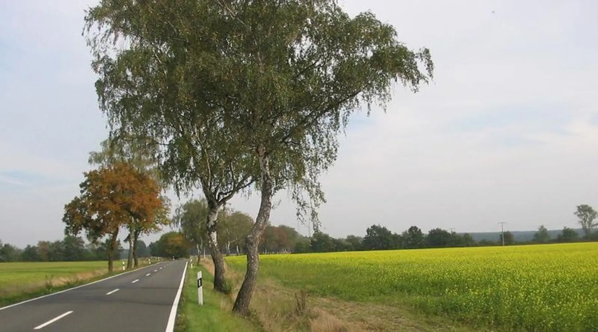 An image depicting the trail Naturparkrundwanderweg and Burgenwanderweg and its surrounding area.