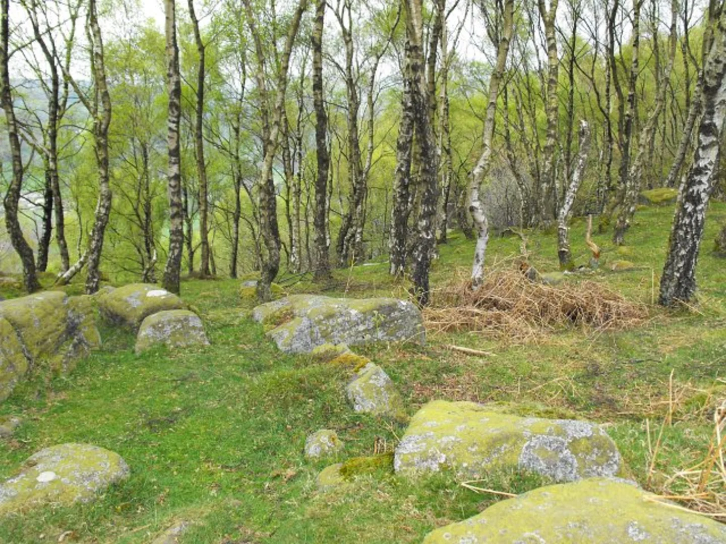 An image depicting the trail Froggatt Edge Stone Circle Walk and its surrounding area.
