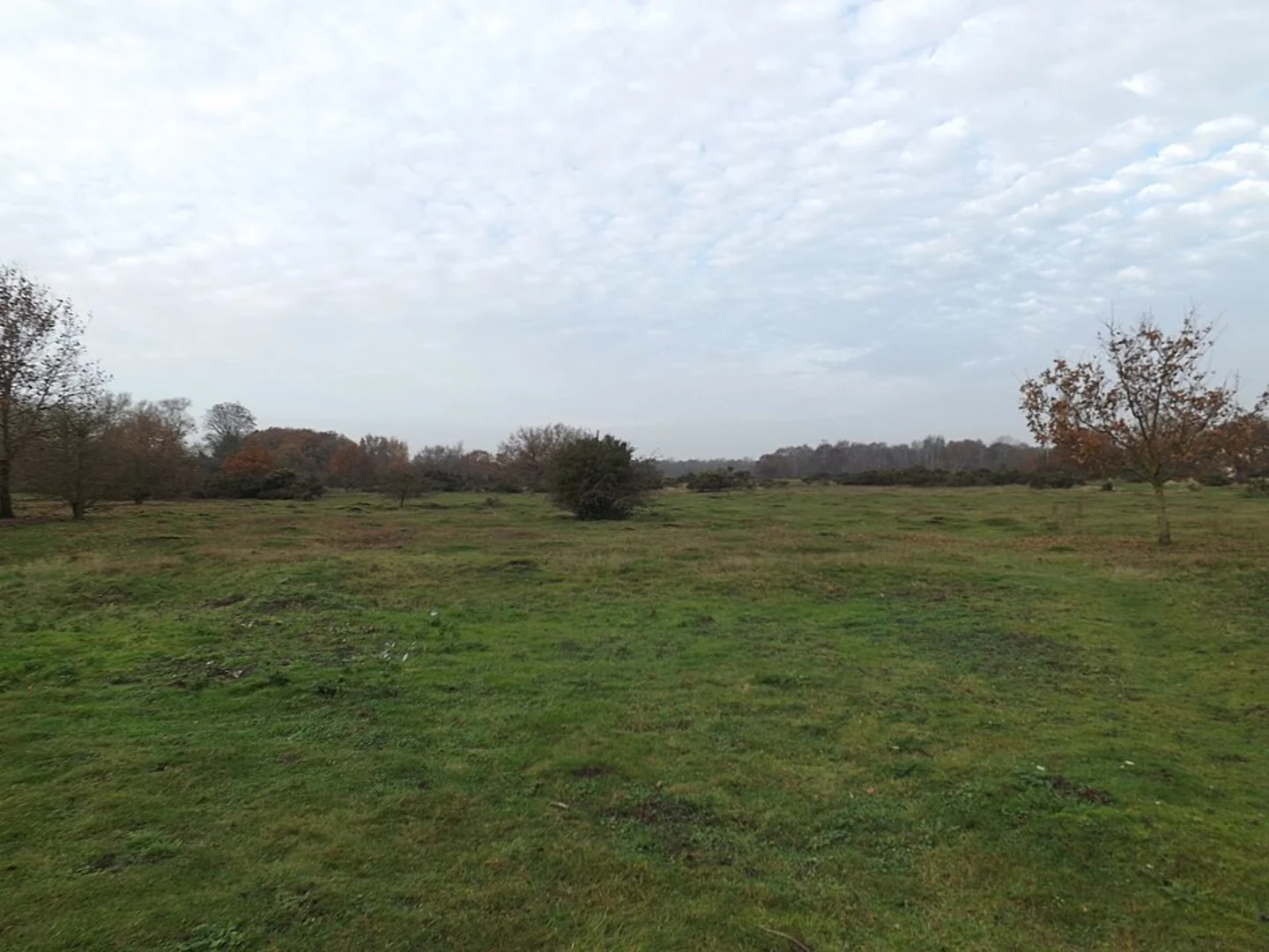 An image depicting the trail Wortham Ling - Open Access Land Loop and its surrounding area.